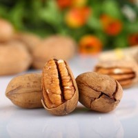 松鼠大廚_碧根果108g/袋散裝果仁三只零食堅果干果批發一件代發