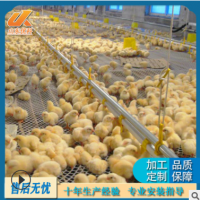 農(nóng)戶養(yǎng)殖雞鴨料線水線 雛鴨散養(yǎng)蛟龍式自動上水料線水線 圓盤料線