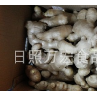 生產工廠供應出口生姜，風干姜，保鮮姜。