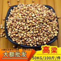 大額批發正宗東北高粱澳梁美梁釀酒原料50KG