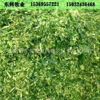 生物發(fā)酵飼料 奶牛粗飼料 玉米青儲(chǔ)飼料 大量食草性動(dòng)物青貯飼料