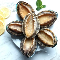 閩正煮凍鮑魚4頭-32頭鮑魚OEM、ODM定制生產來料加工海鮮水產凍品  2斤起批