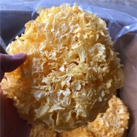 古田沒熏硫銀耳干貨批發(fā) 選朵白木耳直徑12cm產地銷售批發(fā)