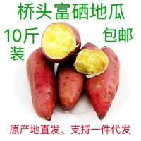海南澄邁橋頭富硒地瓜5/10斤裝板栗紅薯富硒橋頭地瓜產地精選果