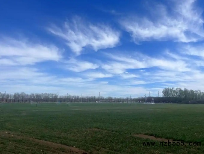 微信截圖_20250331165829