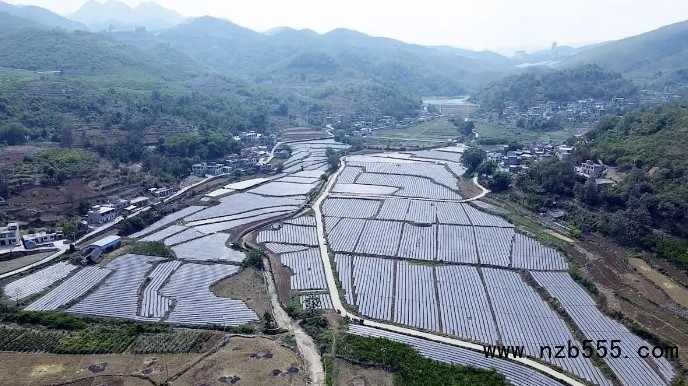 微信截圖_20250512164051