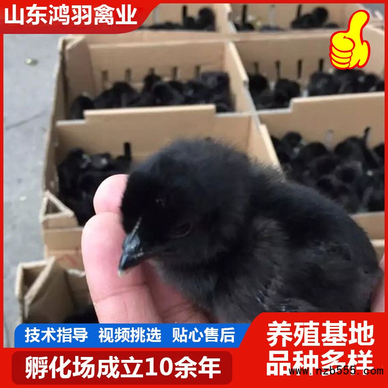 O1CN01H3LtQR25ghiEkaUWy_!!2219512337556-0-cib