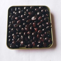 批發榨油牡丹種子優質鳳丹籽油料牡丹籽牡丹種子價格油用牡丹種子