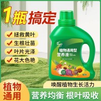 植物營養(yǎng)液通用型家用花肥通用化花卉盆栽綠蘿葉綠植富貴竹肥料