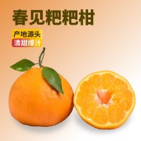 gc四川春見(jiàn)耙耙柑粑粑柑杷杷柑正宗水果新鮮整箱當(dāng)季批發(fā)
