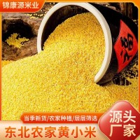 東北黃小米新米3斤手提袋裝五谷雜糧養胃黃小米月子粥農家特產