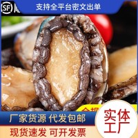 鮑魚鮮活冷凍特大鮑魚肉小鮑魚商用新海鮮水產撈汁飯批發火鍋食材